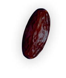Fig